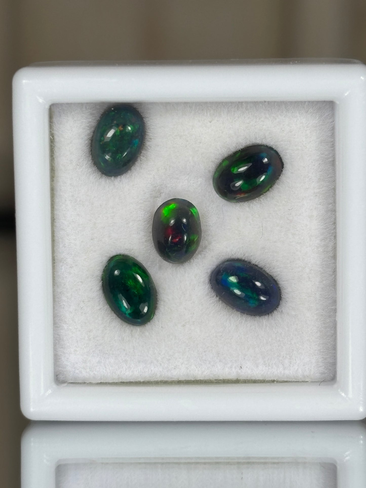 Opalos negros x 5